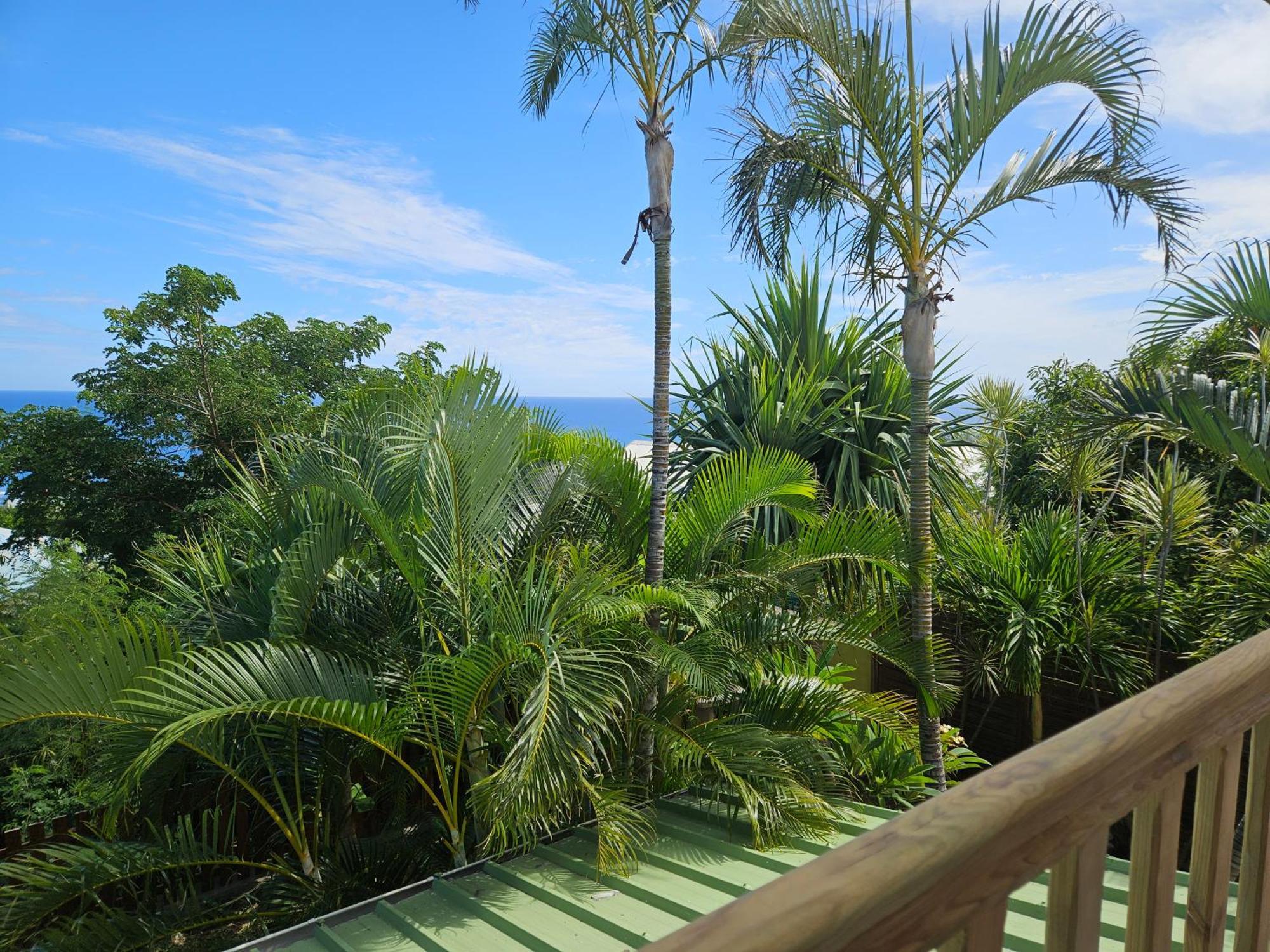 Apartamento L'Ile En Ylang Saint-Leu Exterior foto